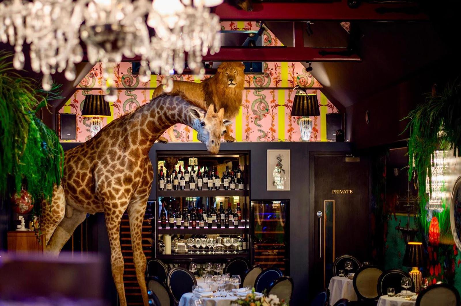 Hux Hotel, Kensington London Ngoại thất bức ảnh